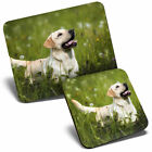 Mouse Mat & Coaster Set - Golden Retriever Dog Puppy Labrador  #16887