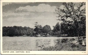 1930s MI Postcard Shafer Lake Hartford Michigan Grand Rapids Postmark Nature - Picture 1 of 2