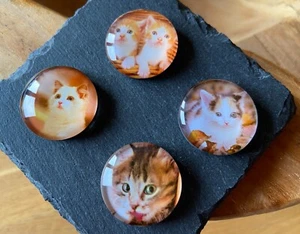 Dekorative Katzen Magnete Katzenliebhaber Geschenkidee 4 Stück (Set 4) NEU - Bild 1 von 3