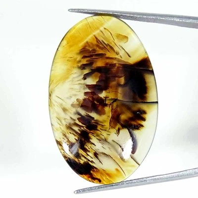 29.60Cts Natural Montana Agate Oval Cabochon Loose Gemstone 23x37x5mm - Image 1 of 4