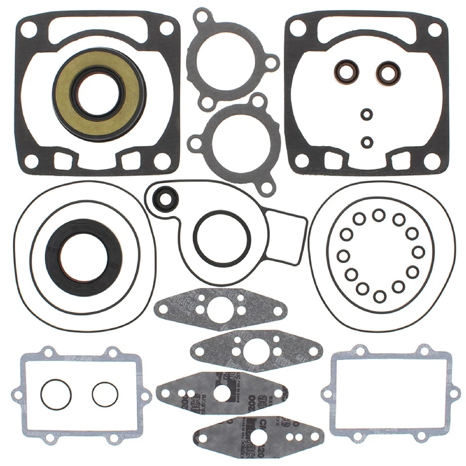 Complete Gasket Kit with Oil Seals For Arctic Cat Saber Cat 600 EFI 2004-2005 Foto 1 de 1