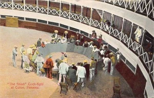Panamá - COLÓN - The finish - Cock-fight - Publ. I. L. Maduro jr. 209C - Picture 1 of 2