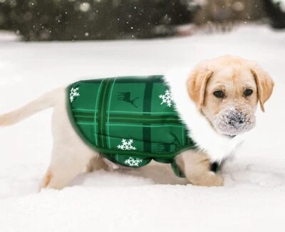 Abrigo chaqueta a prueba de viento para perro forrada de lana verde con piel blanca PEQUEÑA a prueba de tintineos Foto 1 de 4