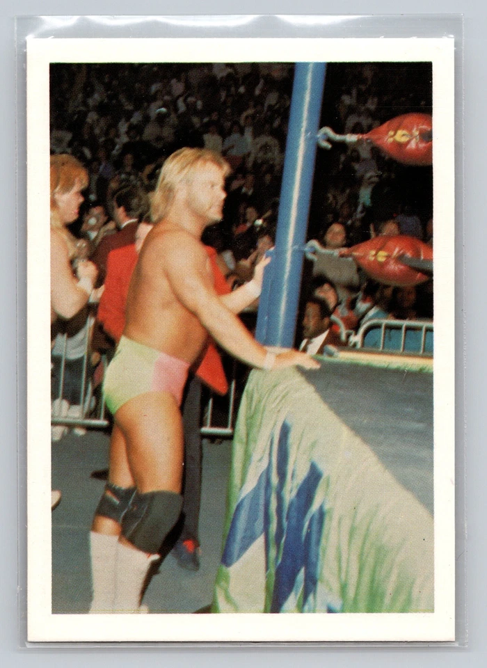 Stan Lane 1988 Wonderama NWA - Image 1 of 2