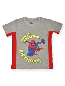 Spiderman Boys' Birthday T-Shirt - Boy Size 4 Gray T-Shirt - Picture 1 of 8