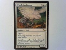 Windbrisk Raptor	 Shadowmoor - Magic the Gathering Mtg White