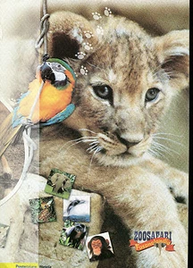 ZOO SAFARI - Imagen 1 de 1