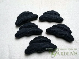 Handmade Charcoal & Japanese Black Pine Resin Soap Approx 2.5 oz ea 5 Bars - Picture 1 of 2