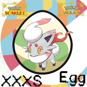 XXXS Hisuian Zorua nicht glänzendes Ei 6IV IHR OT GESCHLÜPFT Pokemon scharlachrot lila SV