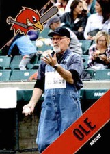 2018 Fargo-Moorhead RedHawks Team Issue #29 Ole MASCOT - NM Baseball Card