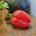 Vintage Kosta Boda Art Glass Fruit Frutteria Red Pepper Sign Gunnel Sahlin 99022
