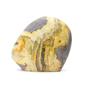Bumblebee Jasper Freeform - Bild 1 von 5