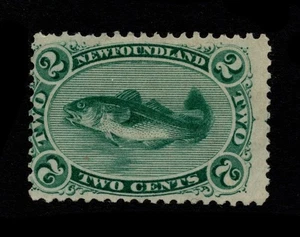 NEWFOUNDLAND 1865-70 2c COD ON WHITE PAPER, SG 31, FRESH MINT, CAT. £130 - Picture 1 of 2