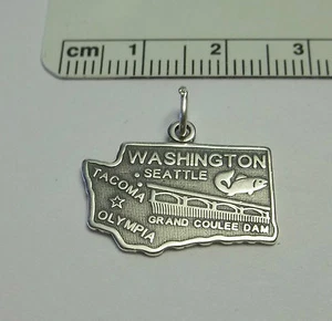 Dije de plata esterlina 15x20 mm estado perenne del estado de Washington - Imagen 1 de 1