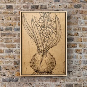 Hyacinth Bulb Drawing Pencil Ink Botanical Sketch Spring Flower Minimalism Art - Picture 1 of 16