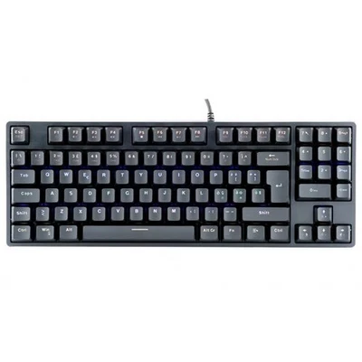 TASTIERA ITEK GAMING X50 MECCANICA RGB (ITKGMCX50) NERO - Immagine 1 di 4