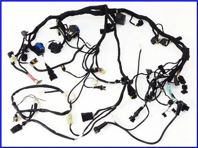 DUCATI 2008 1198S Genuine main harness set  - Изображение 1 из 4