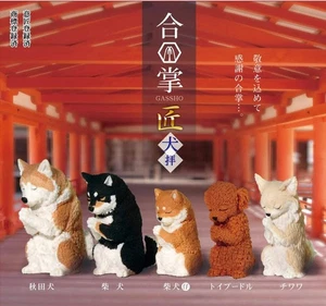 BOWING PUPPY DOG BLINDBOX (1 Blindbox) - Bild 1 von 8