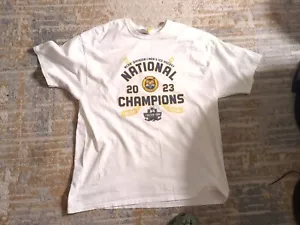 CHAMPION Line 2023 Frozen Four Hockey Championships Short Sleeve T-shirt Size 2X - Picture 1 of 5