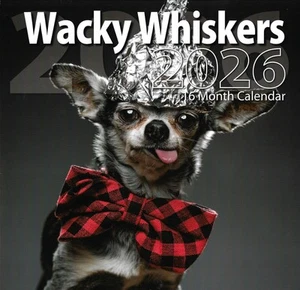 Calendario de pared Wacky Whisker 2026 16 meses (septiembre 2025 - diciembre 2026) 12"x12" - Imagen 1 de 2