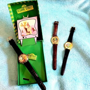 GET 3 Sesamstraßenuhren: Fossil Limited Editions & 25th Anniversary GEBRAUCHT - Bild 1 von 14