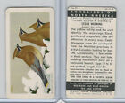 FC34-1 Brook Bond, Songbirds North America, 1959, #22 Cedar Waxwing