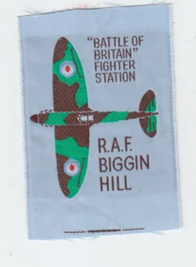 Ribbon Badge R.A.F. BIGGIN HILL BATTLE of BRITAIN FIGHTER STATION - Picture 1 of 1