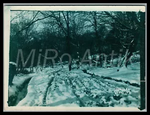 Foto, WK1, Inf.Rgt.167, der nächtliche Weg zur Waldstellung; L189L - Bild 1 von 2