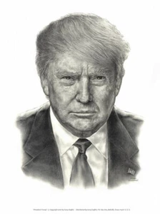 From Infowars Pres. Trump lithograph. 16" x 20" - Picture 1 of 1