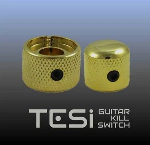 Tesi Premium Dual Concentric Guitar Knob Set - Volume, Tone - Gold - Picture 1 of 2