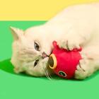 Catnip Ball Toy For Cats Promote Exercise Cat Snacks Grinding Licking Kicking