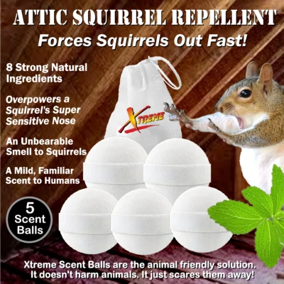 NEW! Attic Squirrel Repellent.  DRIVES SQUIRRELS OUT FAST! 5 PK - Image 1 of 4