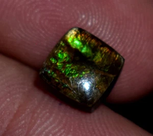 Natural Rare Ammolite Gemstone Cabochon 1.55 Ct Loose Ammolite Gemstone - Picture 1 of 5
