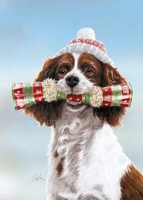 Springer Spaniel Christmas Cards pack of 10 by Paul Doyle C712x - Image 1 of 2