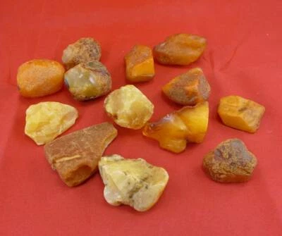 172,4 Gramm 13 natural Baltic Butterscotch Amber Roh Bernsteine - Bild 1 von 4