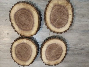 Black walnut Live Edge, wood slice, centerpiece-7x9x1 1/1 - Picture 1 of 4