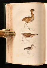 1834 2vol The Feathered Tribes of the British Islands 1st Edition Illustrated...