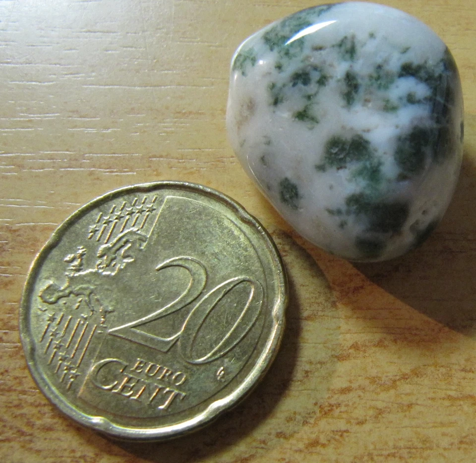 AGATE arbre Origine INDE - Pierre roulée - Lithothérapie - NEUVE -Semi précieuse - Photo 1/1