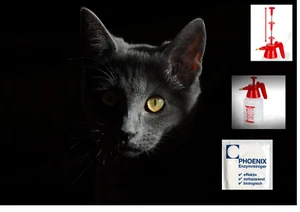 Enzymreiniger Geruchsentferner Katzenurin Tierurin Urinsteinentferner BIo ab 1 L - Bild 1 von 90