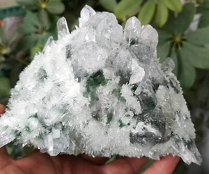 1312g NEW FIND NATURAL GREEN TIBETAN QUARTZ CRYSTAL CLUSTER SPECIMEN HEALING 1 - Picture 1 of 11