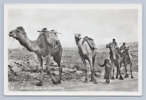 Antigua postal con fotografía real de camellos de camino a Belén RPPC - Imagen 1 de 2