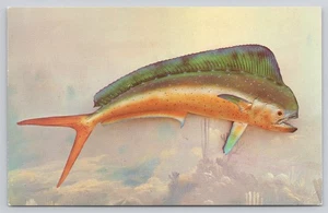 Postal de Nueva York a Florida de la costa atlántica de peces de agua salada de delfines - Imagen 1 de 2