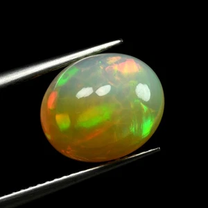 3,60 quilates ovalado 12 x 10,1 mm arco iris genuino varios colores ¡Juega Welo ópalo!!! - Imagen 1 de 5