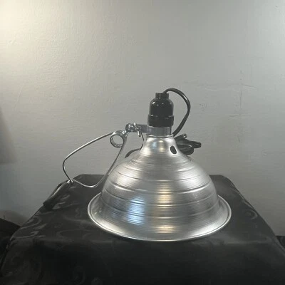 夹灯-便携式灯银色可调节摆臂灯8英寸宽 — 第 1/3 张图片