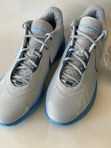 Nike LeBron XXI 21 Armory Gray / Blue Size 17 Men’s Basketball Shoes - Picture 1 of 9