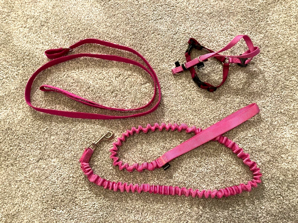 Pet Safe Small Pink Pet Harness & Pink Accordion Leash & Unbranded Neck Leash - Image 1 of 4