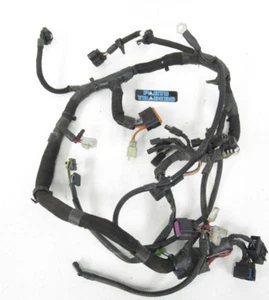 Genuine Polaris Main Wire/Wiring Harness 2410770 RMK IQ Dragon 600/700 - Picture 1 of 7