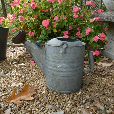 Antigua lata de agua galvanizada vintage con cabezal rociador de latón Foto 1 de 4