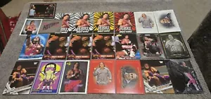 Lotto 23 carte e adesivi Bret Hitman Hart WWE WWF TOPPS PANINI LEAF - Foto 1 di 1