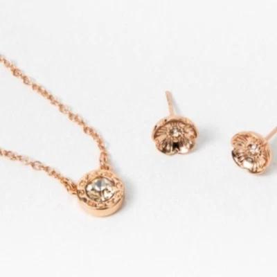 蔻驰玫瑰金项链和花卉耳钉耳环套装全新带盒丝绸宝石珠宝礼品 — 第 1/4 张图片